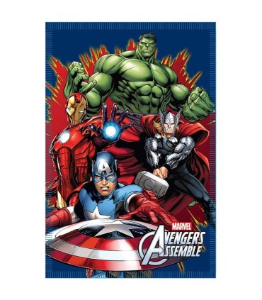 Vengadores manta polar