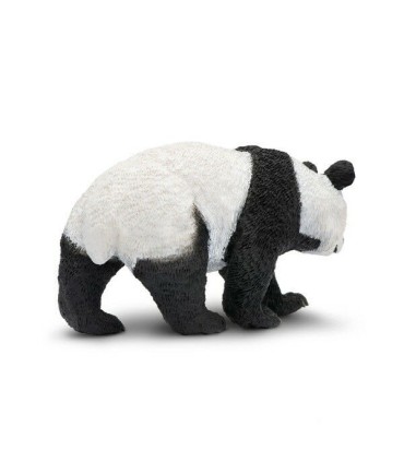 Safari Oso Panda