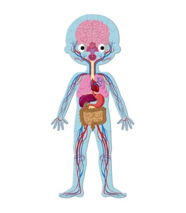 Set 4 Puzzles El Cuerpo Humano Janod órganos