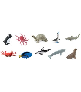 Tubo Océano Pacífico Safari