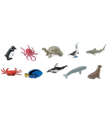 Tubo Océano Pacífico Safari