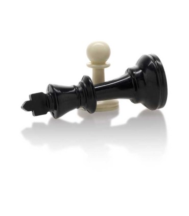 Piezas Ajedrez en Caja de Madera Nº 3