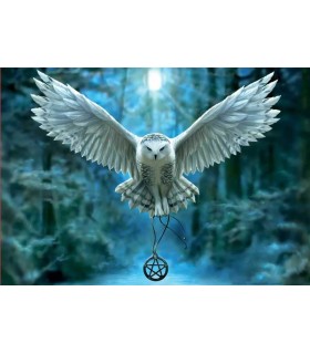 Puzzle Educa Despierta Tú Magia 500 Piezas