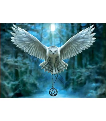 Puzzle Educa Despierta Tú Magia 500 Piezas