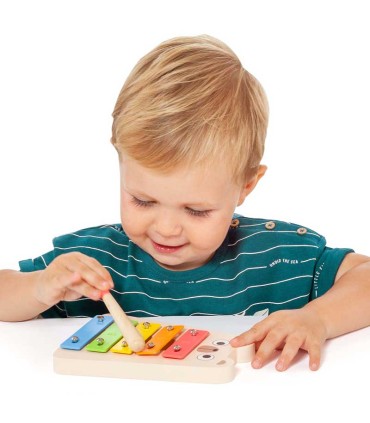 Set Musical De Madera Moltó