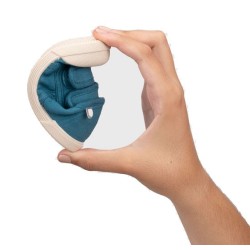 Lona Igor V Petróleo