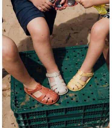 Cangrejera Igor Nemo Solid Arena