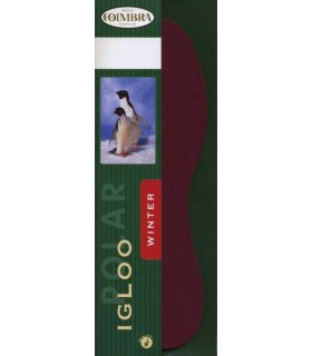 Plantilla Igloo Polar adulto